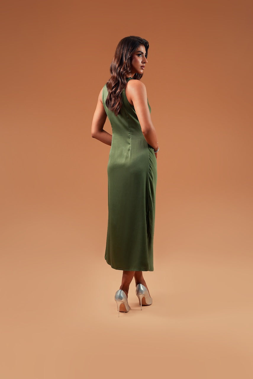 Olive Apricus