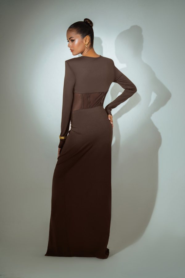 Mesh Coffee Dress - Image 4